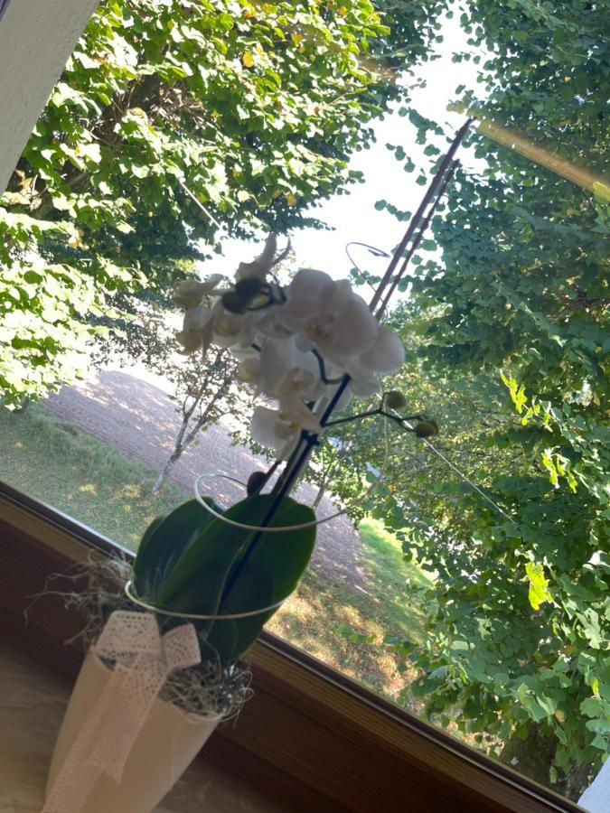 מלון Auerbach in der Oberpfalz Hohe Tanne מראה חיצוני תמונה